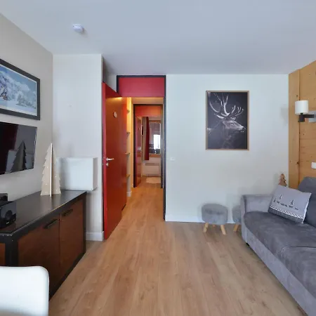 Confortable Avec Acces Direct Aux Pistes Et Animaux Admis - Fr-1-181-2111 * La Plagne-Tarentaise